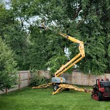 Best Landscape Design and Installation  in Helena Valley Southeast, MT