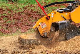 Best Lawn Mowing  in Helena Valley Southeast, MT